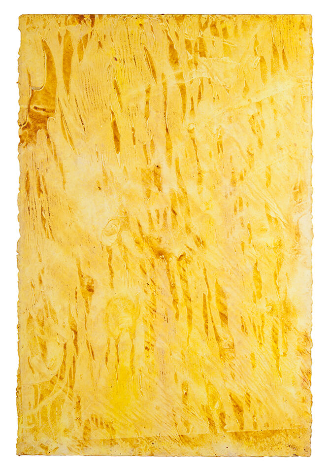 curcuma papel 15.jpg